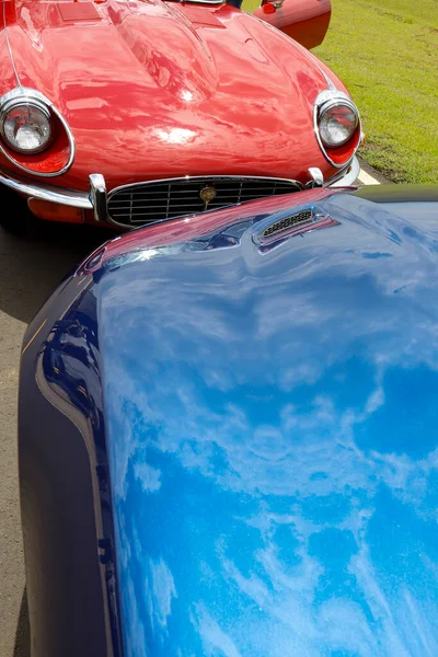 Sao Paulo Brazil Nov 2020 1960S Car Style Jaguar Type — Stock Photo, Image