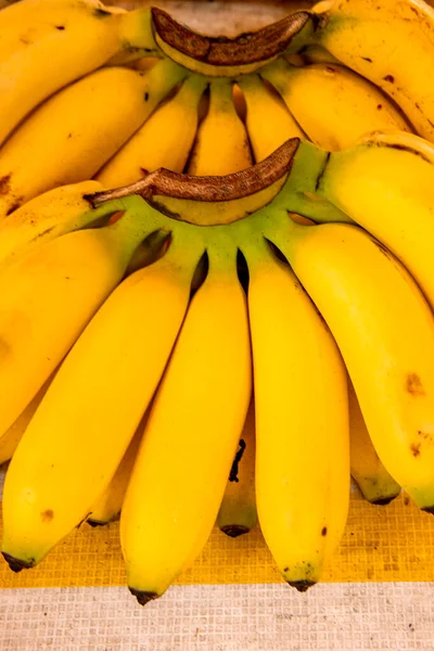 Plátanos Maduros Mercado Callejero Brasil Los Plátanos Amarillos Están Mostrador — Foto de Stock