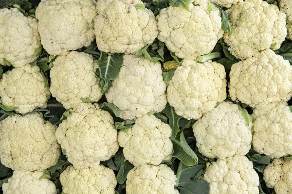 Frischer Blumenkohl Nahaufnahme Auf Dem Bio Wochenmarkt Für Vegetarier Veganer — Stockfoto