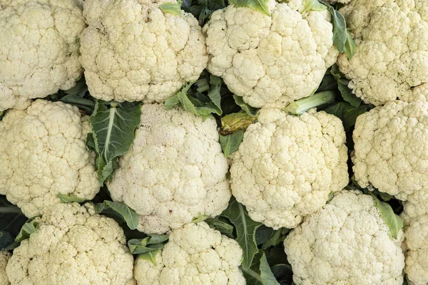 Frischer Blumenkohl Nahaufnahme Auf Dem Bio Wochenmarkt Für Vegetarier Veganer — Stockfoto