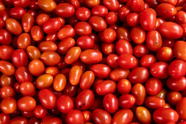 Jasne Czerwone Świeże Dojrzałe Pomidory Wiśniowe Ladzie Rynku Sklepie Lub — Zdjęcie stockowe