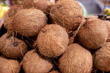 Soyulmuş hindistan cevizli hindistan cevizli nucifera yığını satılık. Hindistan cevizi meyveleri pazarda satılıyor. Pazarda satılık hindistan cevizi meyveleri..
