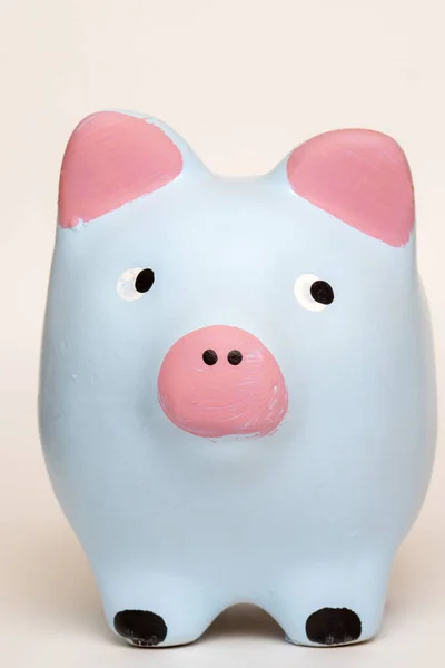 Close Pink Blue Piggy Bank Isolated White Background — Stock Photo, Image