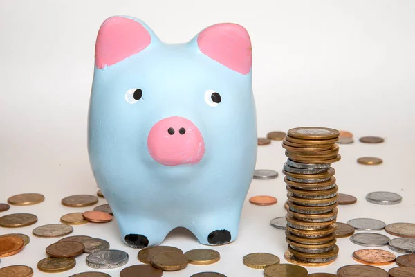 Pink and blue piggy bank looking on a pile of money coins. Isolated on white background