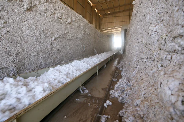Brezilya Tekstil Endüstrisinde Pamuk Balyaları Olan Bir Depo Seçici Odak — Stok fotoğraf