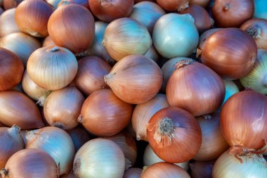 Brezilya 'nın Sao Paulo caddesinde bedava soğan fuarı. Meyve ve sebzelerin satıldığı yer.