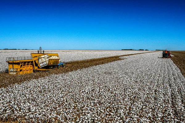 ブラジルの田舎で晴れた日にマシンと綿の収穫 — ストック写真