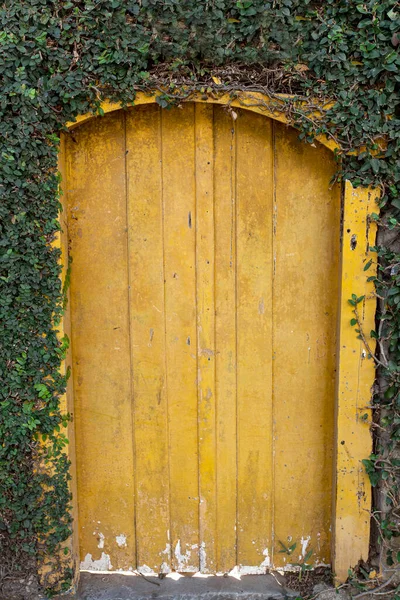Старі Двері Фасаді Колоніального Будинку Сантана Парнайбі Історичне Місто Колоніального — стокове фото