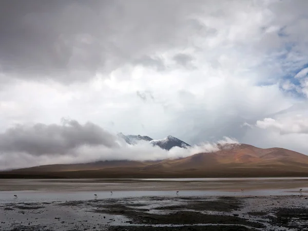 High Desert Salar Uyuni Bolivia — Stock Photo, Image