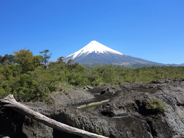Der Petrofarbene Fall Und Der Osorno Vulkan Mit Seinem Schneegipfel — Stockfoto