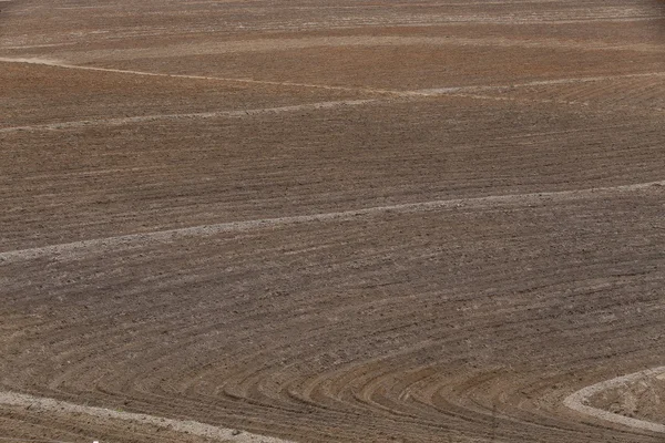 Agricultural land — Stock Photo, Image