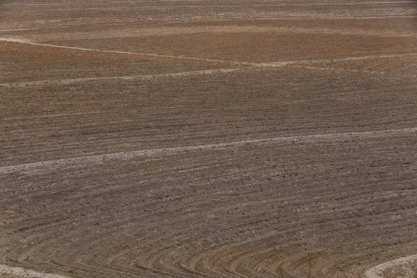 Champs Agricoles Dans Campagne Brésilienne — Photo