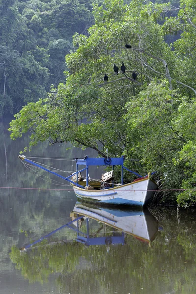 Barco de pesca — Fotografia de Stock