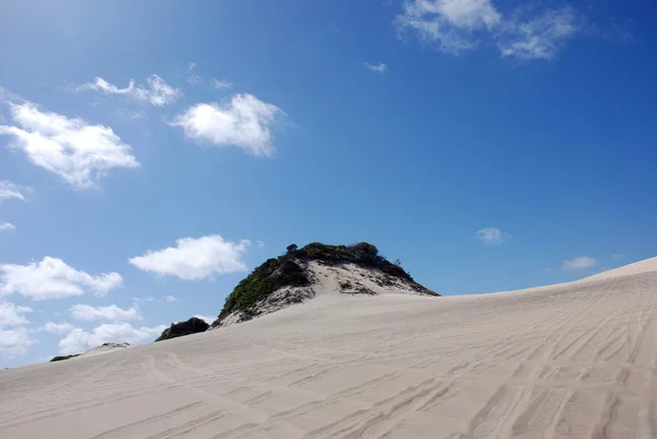 Dunes de genipabu — Photo