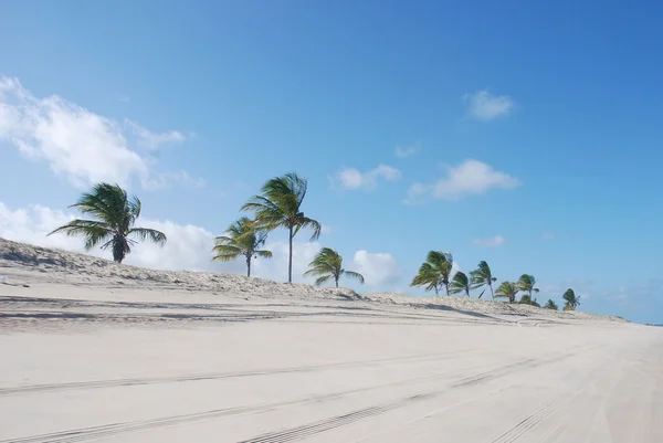 Dunes de genipabu — Zdjęcie stockowe