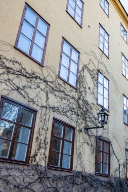 Stockholm 'ün tarihi Gamla Stan bölgesinde İsveç, Stockholm' de renkli binalarla dolu bir cadde.