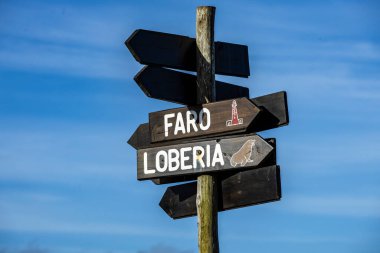Cabo Polonio, Uruguay 'daki ulusal parktaki deniz fenerini ve deniz aslanı bölgesini gösteren İspanyolca bir imza atın..