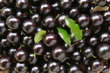 Jaboticaba, Brezilya meyve
