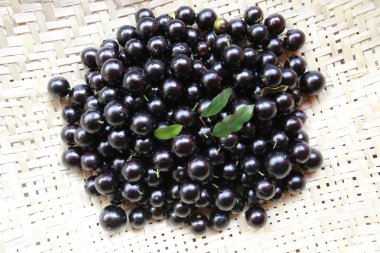 Jaboticaba, Brezilya meyve
