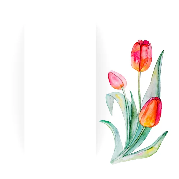 Aquarel bloemen. frame — Stockvector