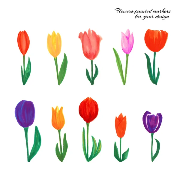 Flores marcadores pintados — Vector de stock