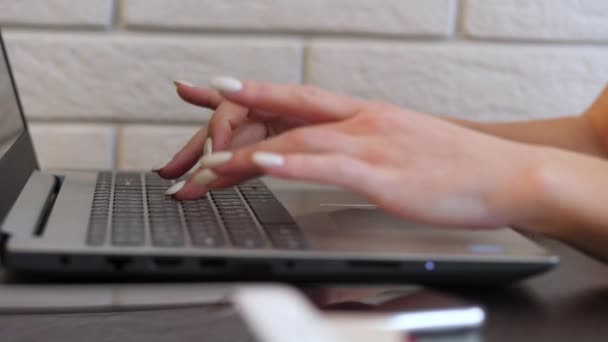 Woman typing on keyboard. Female hands typing graciously on the laptop. Long nails. Businesswoman working from home. — Stock Video