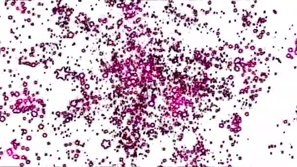 Viagem abstrata através de formas de estrela - Loop Pink — Vídeo de Stock