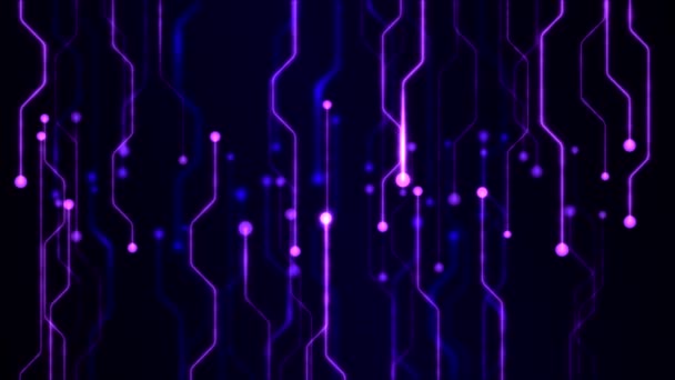 Animación de fondo de circuito de tecnología abstracta - Loop Purple — Vídeos de Stock