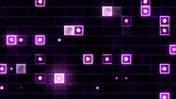 Fondo de baldosas y animación de luz - Bucle púrpura — Vídeos de Stock