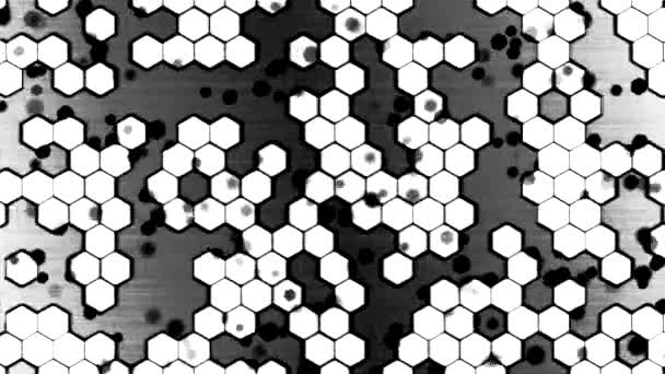 Scrolling Monochrome Hexagon Background Animation - Loop — Stock Video