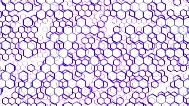 Scrolling Hexagon Background Animation - Loop Purple — Stock Video