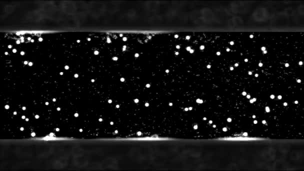 抽象的弹跳星星和灯光动画-循环黑色和白色 — 图库视频影像