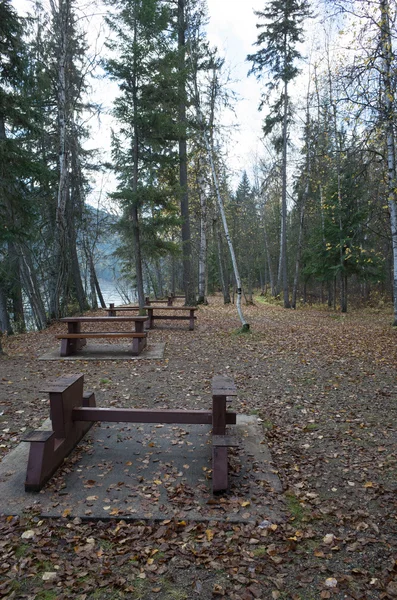 Bir göl yanında tablolarla piknik alanı