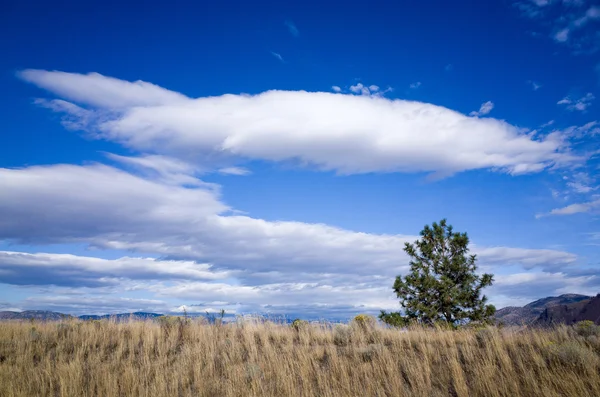 Kabarık beyaz bulut içinde parlak mavi gökyüzü katmanları