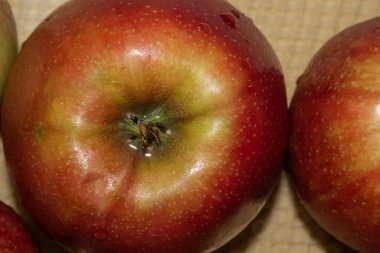 Islak kırmızı Fuji elmalarının üst görüntüsü. Kapat.