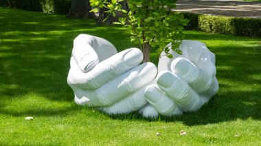 Kharkiv, Ukrayna - 24 Mayıs 2020. El kavramı, Central Park 'ta bir ağacı tutmak.