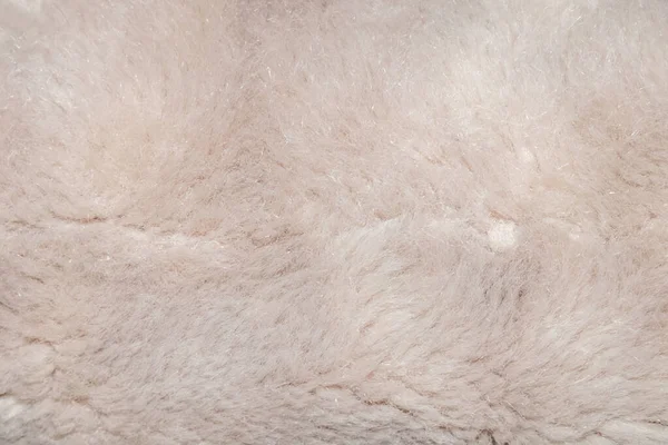 Hairy disheveled artificial soft light beige fur — Stock Photo, Image