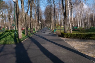 Kharkiv, Ukrayna - 17 Nisan 2021. Cental Park 'ta uzun ve geniş bir ara sokak. Meşeler, huş ağaçları, kestaneler, çimenler, oyun alanları, yeşil banklar, çöp kutuları