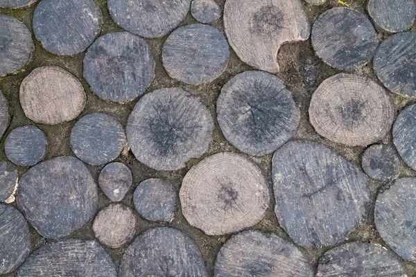 Top view of walk path with sliced round dark pastel stumps — Stock Photo, Image