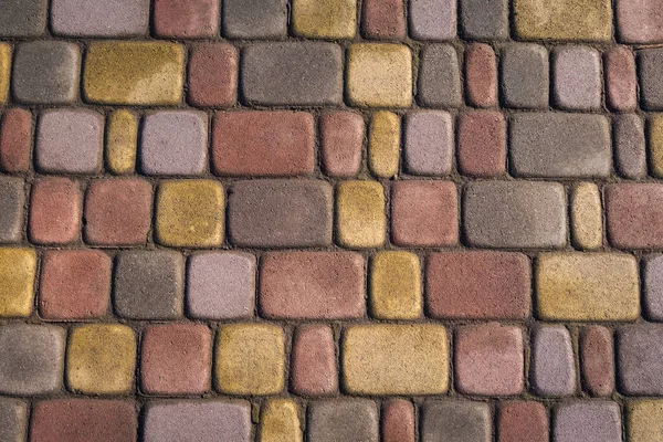 Patterned, partly wet after rain, multicoloured outdoor tile with vaious shapes — Stock Photo, Image
