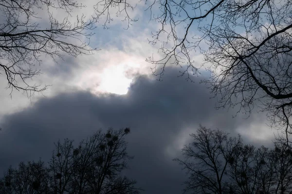 Dark and Dramatic Grey Clouds with top of the trees in the shadow — Stock Photo, Image