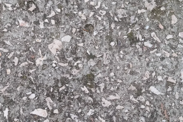 Крупный план старой грубой бетонной поверхности с мхом — стоковое фото