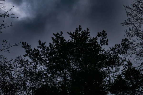 Mystérieux nuages gris foncé avec cimes d'arbres dans la soirée — Photo