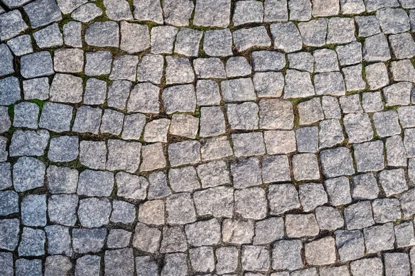 Background of grainy grey cobbles under sunlight and partly in shadow. Green moss in the seams — Stock Photo, Image