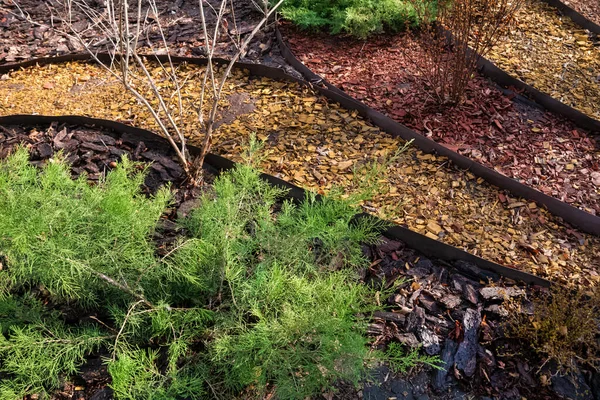 Çiçek tarhında ardıç çalıları ve parktaki farklı renkli testereli odun katmanları. — Stok fotoğraf