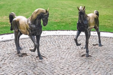 Kharkiv, Ukrayna - 17 Nisan 2021. Yağmurdan sonra iki ıslak atın bronz heykelleri, toynakla dövülmüş. Central Park