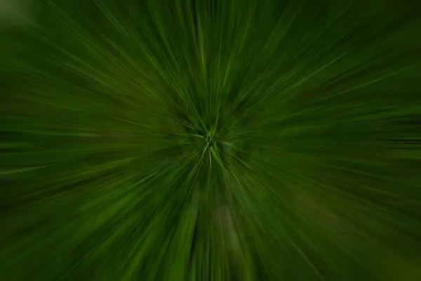 Bewegungen verschwimmen durch den Wald. Dunkelgrün mit Vignette — Stockfoto