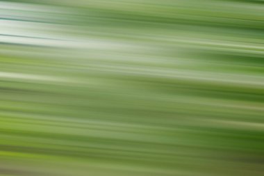 Ormanda yüksek hız hareketi ve küçük bir eğim. Beyaz, kahverengi ve yeşil renkler