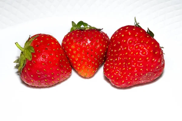 Tres jugosas fresas con colas verdes, una junto a la otra en un plato blanco — Foto de Stock