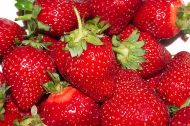 Haziran 'da doymuş kırmızı çileklerin kapatılması